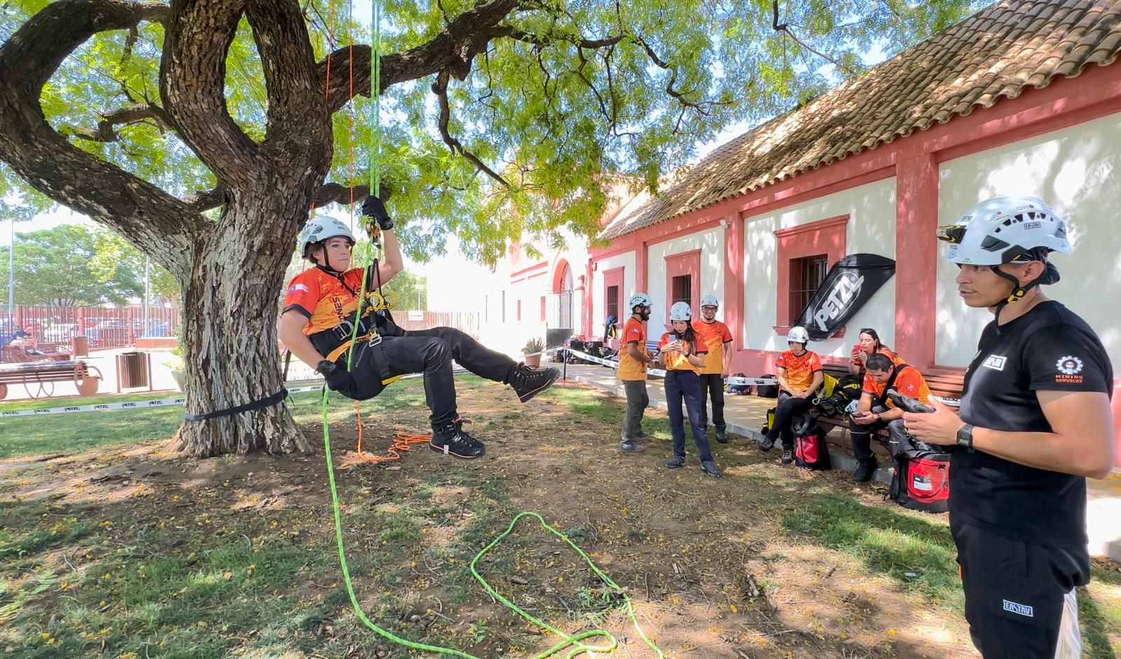 instructores trabajo en alturas, arboricultura en tree care tour eastav Hacienda Santa Cruz, en la localidad de La Rinconada, Sevilla
