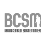 bcsm